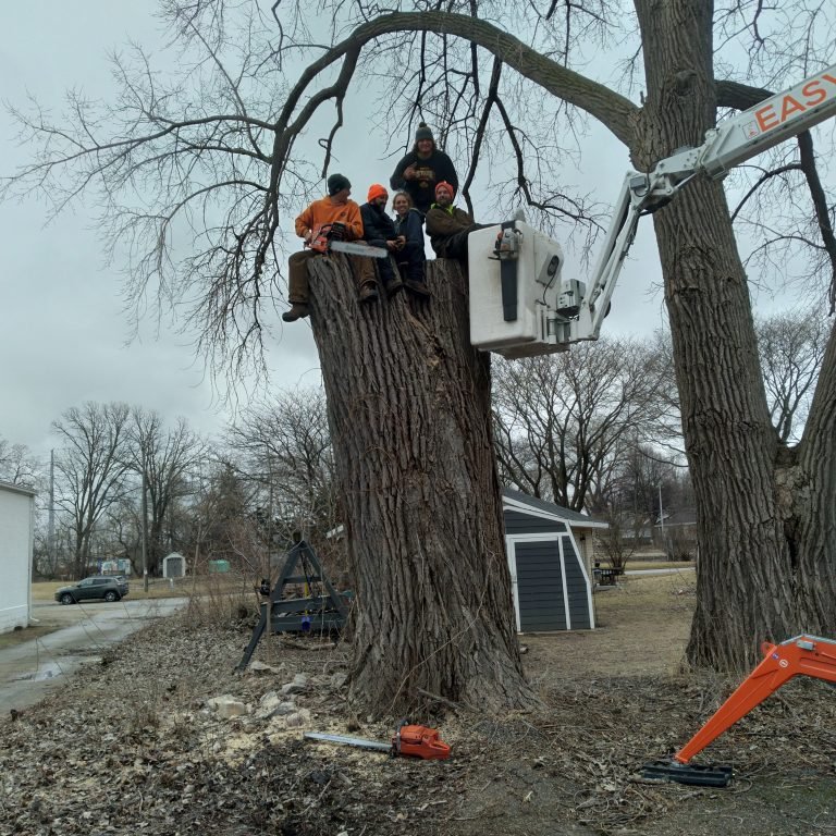 Economy Tree Service